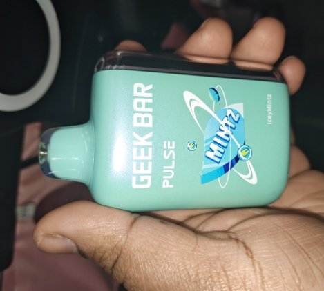 Geek Bar Pulse 15000 Puffs