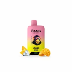 Bang Leader 45000 Mesh Coil Rechargeable Disposable Device