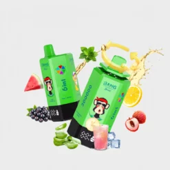 Bang Leader Stoll 300K 6-in-1 Flavor System Disposable Vape