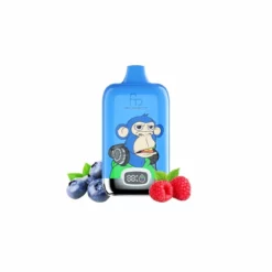 Fumot 12000 Blueberry Raspberry Vape | Top 10 E-Cigarette