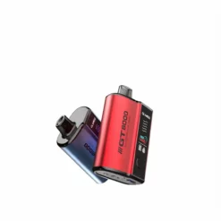 GLAMEE GT8000 Rechargeable Disposable Vape – 8000 Puffs