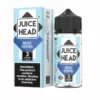 Juice Head Arctic Menthol 100ML Menthol E-Liquid
