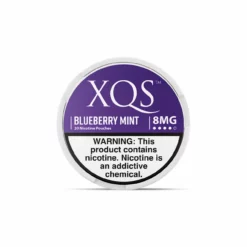XQS Tobacco-Free Blueberry Mint Nicotine Pouches (20 Count)