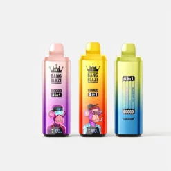 Bang Blaze 60000 Mesh Coil Vape 4 in 1 Flavors 60k Puffs