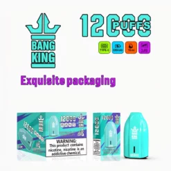 Bang King Porsche 12000 Puffs Rechargeable Disposable Vape
