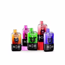Bang Leader 120K 120,000 Puffs Disposable Vape