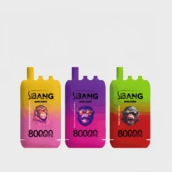 Bang Leader 80K Disposable Vape – 80k Puffs, 3-in-1 Flavor