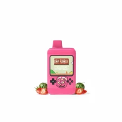 R&M FUNBOX 6600 Puffs Disposable Rechargeable Vape