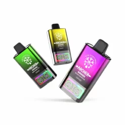 VAPMOD Archer 60K Disposable Vape with Ice Control & RGB LED