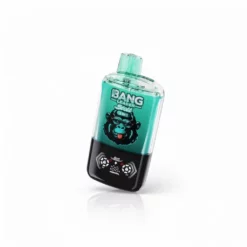 Bang Leader Stoll 120K Dual Flavor Disposable Vape